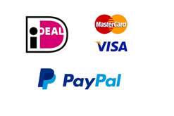 payment options ideal visa paypal